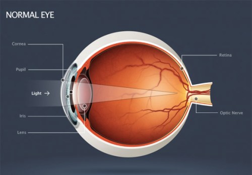eye-diagram-normal