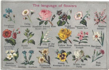language-of-flowers-meaning.jpg
